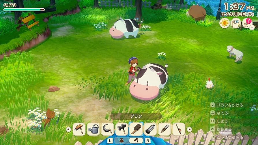 Amazon.co.jp: 牧場物語 Let's! 風のグランドバザール Nintendo
